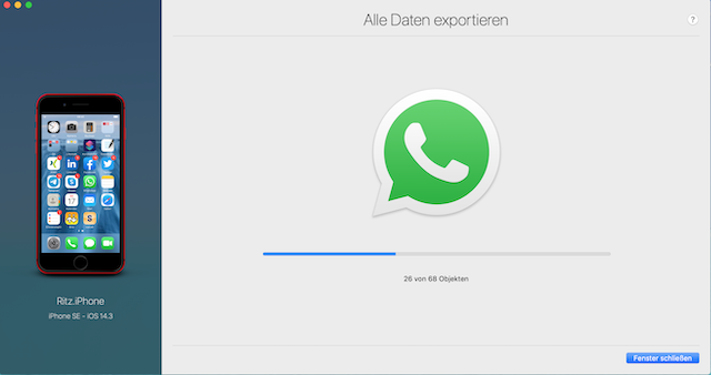 3 Export ongoing